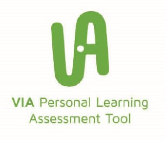 VIA - Formative Assessment - CoderZ Blog